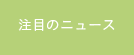 注目のニュース